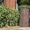 Evergreen Tree Trunk Water Butt 475 Litres