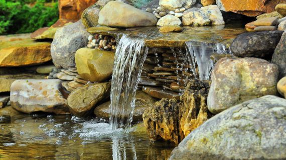 Water Garden Kit -Water Garden Kit Combines filter pond pumps 570