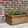 Charles Taylor Medium Trough Planter