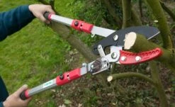 Darlac Heavy Duty Telescopic Ratchet Lopper DP974 6 Darlac Heavy Duty Telescopic Ratchet Lopper DP974 -Water Garden Kit darlac telescopic lopper dp974