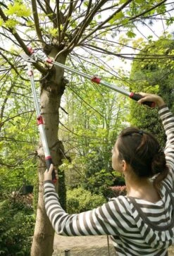 Darlac Heavy Duty Telescopic Ratchet Lopper DP974 7 Darlac Heavy Duty Telescopic Ratchet Lopper DP974 -Water Garden Kit dp974 darlac tele lopper