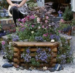 Norlog Medium Tree Seat Planter -Water Garden Kit garden planter