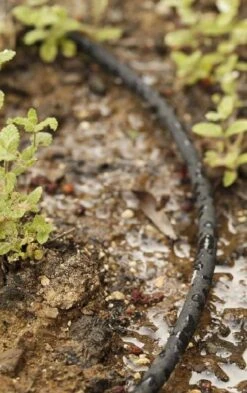 4mm Micro Soaker Hose 25 Meter -Water Garden Kit micro boar soaker hose 25m