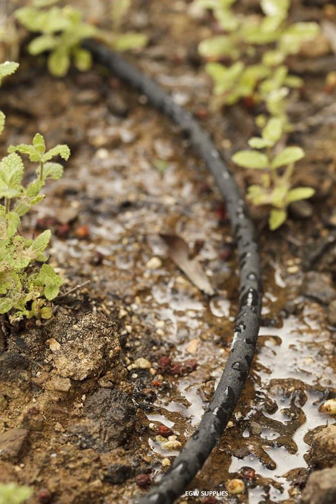 4mm Micro Soaker Hose - 100 Meter 3 4mm Micro Soaker Hose - 100 Meter - Image 3