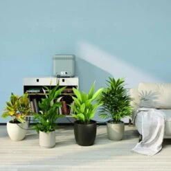 Claber Oasis Indoor Plant Watering System - 8054 -Water Garden Kit oasis 8054