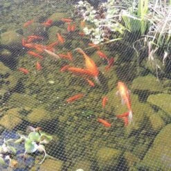 Pond Net 6m X 10m With Fixing Pegs -Water Garden Kit pond net heron protection gcqd wm uqwp ue