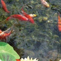 Pondxpert Pond Protector 30 Rings 5 Pondxpert Pond Protector 30 Rings -Water Garden Kit pondxpert pond heron protection rings